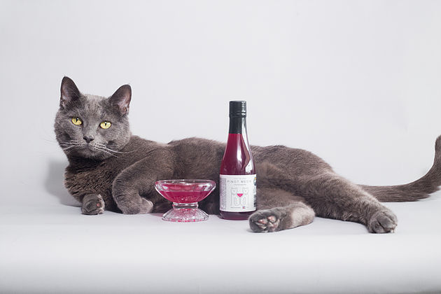 Productos singulares: Apollo Peak vino para mascotas