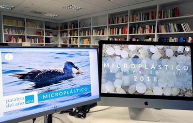 Microplástico: la palabra del año 2018 según Fundéu