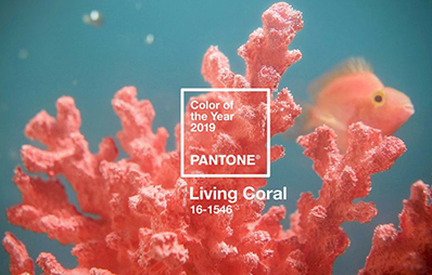Nuevo color del año 2019: Pantone Living Coral 16-1546