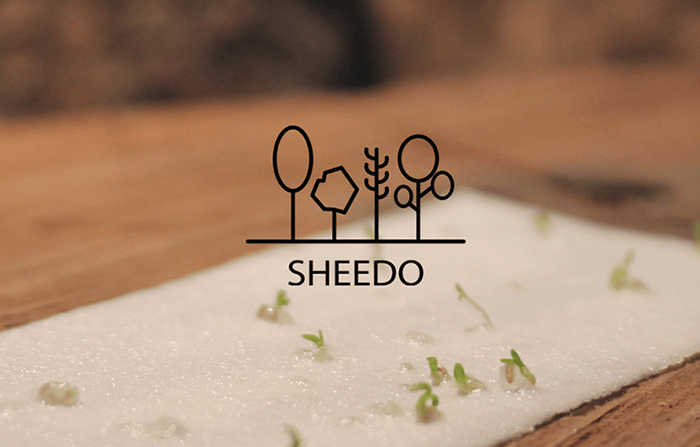 Sheedo, papel con semillas plantable conscientemente sostenible
