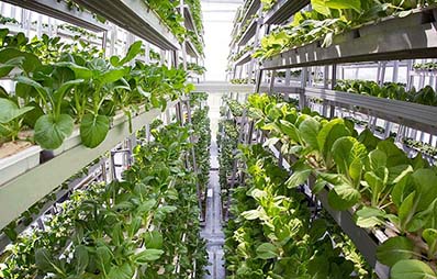 Sky Greens, huertas verticales para desarrollar agricultura urbana