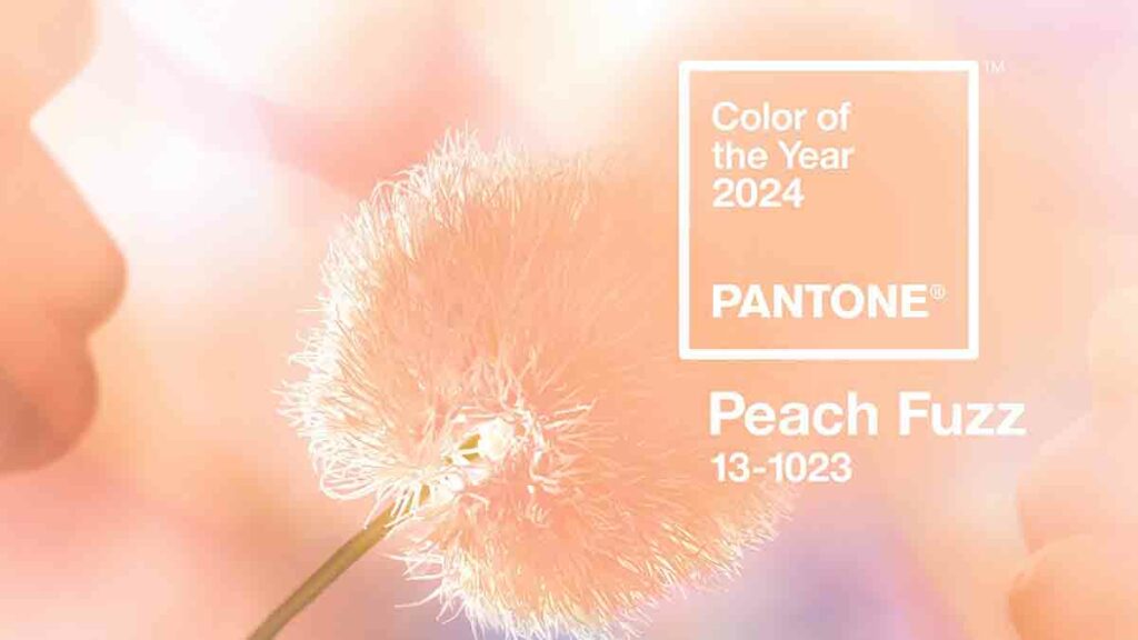 Nuevo color del año 2024: Pantone Peach Fuzz